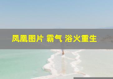 凤凰图片 霸气 浴火重生